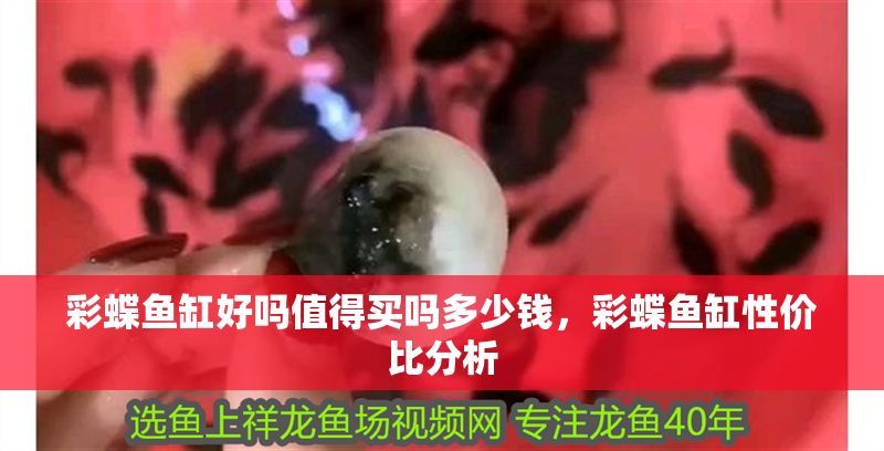 彩蝶魚缸好嗎值得買嗎多少錢，彩蝶魚缸性價比分析