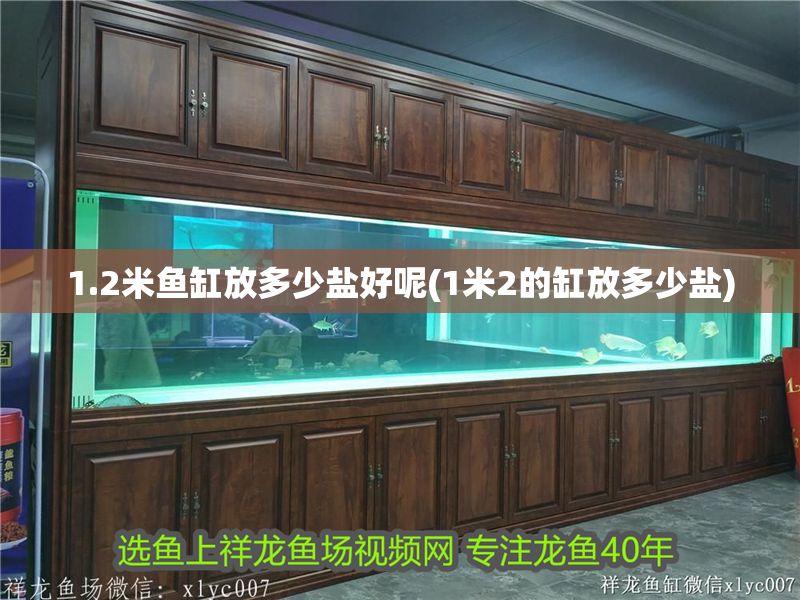1.2米魚缸放多少鹽好呢(1米2的缸放多少鹽)