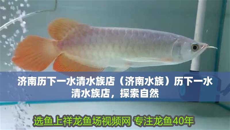 濟南歷下一水清水族店（濟南水族）歷下一水清水族店，探索自然