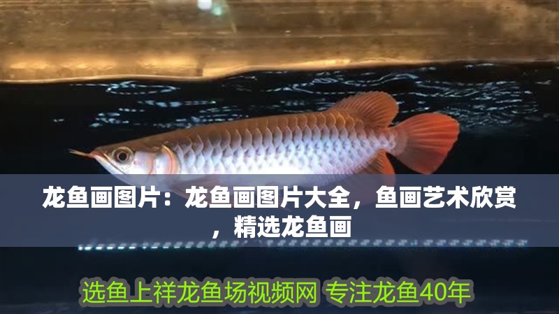龍魚畫圖片：龍魚畫圖片大全，魚畫藝術(shù)欣賞，精選龍魚畫