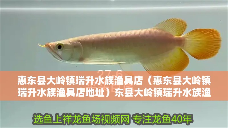 惠東縣大嶺鎮瑞升水族漁具店(惠東縣大嶺鎮瑞升水族漁具店地址)東縣大嶺鎮瑞升水族漁具店詳細地址 全國水族館企業名錄 第2張 惠東縣大嶺鎮瑞升水族漁具店(惠東縣大嶺鎮瑞升水族漁具店地址)東縣大嶺鎮瑞升水族漁具店詳細地址 惠東縣大嶺鎮瑞升水族漁具店(惠東縣大嶺鎮瑞升水族漁具店地址)東縣大嶺鎮瑞升水族漁具店詳細地址 全國水族館企業名錄 第2張