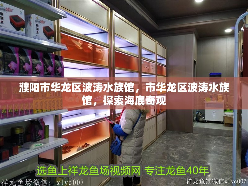 濮陽市華龍區波濤水族館，市華龍區波濤水族館，探索海底奇觀