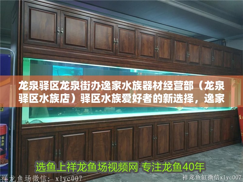 龍泉驛區龍泉街辦逸家水族器材經營部（龍泉驛區水族店）驛區水族愛好者的新選擇，逸家水族器材經營