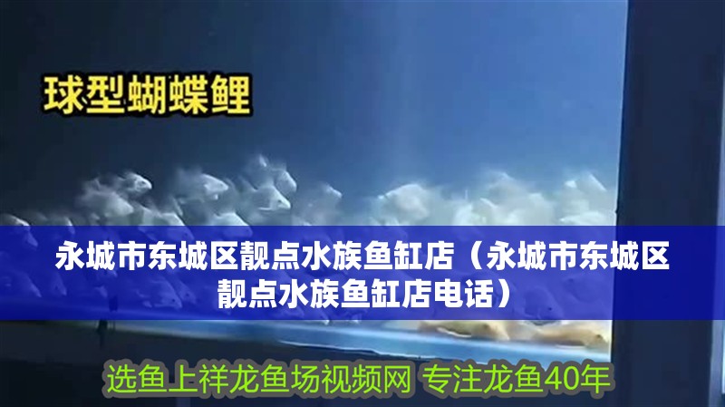 永城市東城區(qū)靚點水族魚缸店（永城市東城區(qū)靚點水族魚缸店電話） 永城市東城區(qū)靚點水族魚缸店（永城市東城區(qū)靚點水族魚缸店電話） 全國水族館企業(yè)名錄 第2張