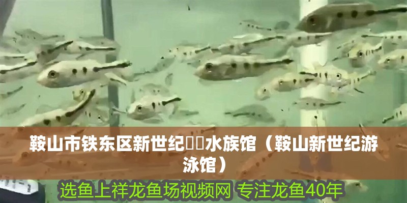 鞍山市鐵東區新世紀洺鍂水族館（鞍山新世紀游泳館）