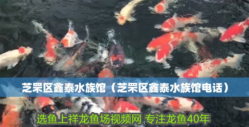 芝罘區鑫泰水族館（芝罘區鑫泰水族館電話） 芝罘區鑫泰水族館（芝罘區鑫泰水族館電話） 全國水族館企業名錄 第2張