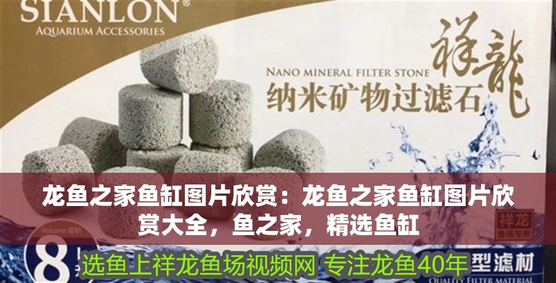 龍魚之家魚缸圖片欣賞：龍魚之家魚缸圖片欣賞大全，魚之家，精選魚缸