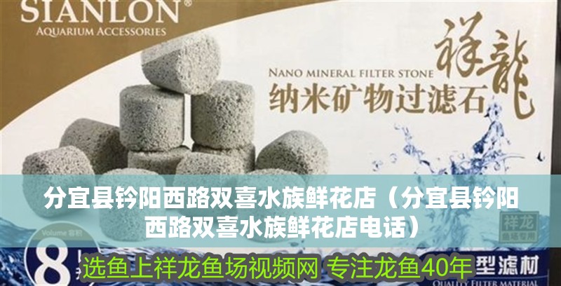 分宜縣鈐陽西路雙喜水族鮮花店（分宜縣鈐陽西路雙喜水族鮮花店電話）