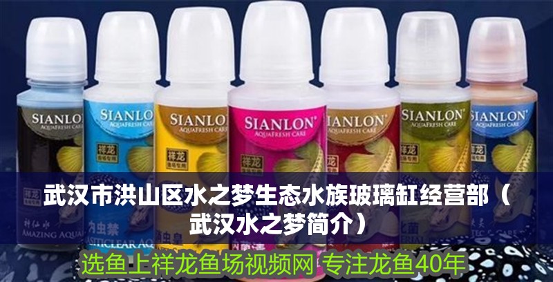 武漢市洪山區水之夢生態水族玻璃缸經營部（武漢水之夢簡介） 武漢市洪山區水之夢生態水族玻璃缸經營部（武漢水之夢簡介） 全國水族館企業名錄 第2張