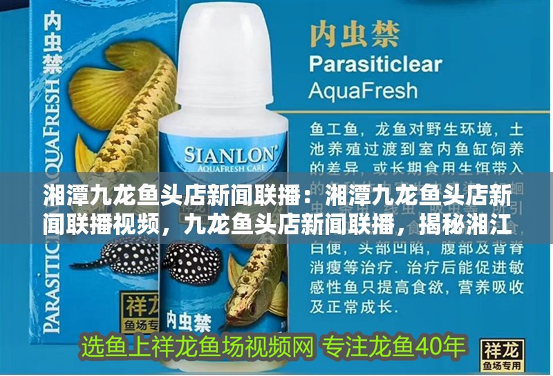 湘潭九龍魚頭店新聞聯播：湘潭九龍魚頭店新聞聯播視頻，九龍魚頭店新聞聯播，揭秘湘江畔的美食