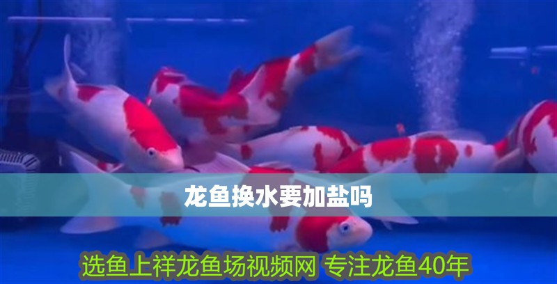 龍魚換水要加鹽嗎