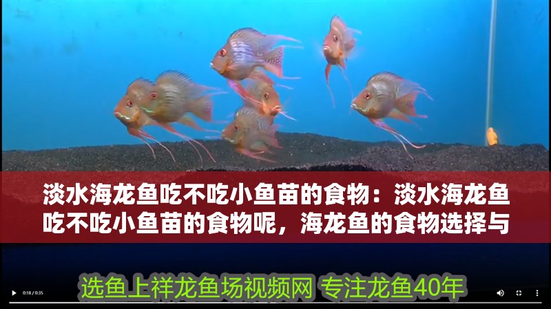 淡水海龍魚吃不吃小魚苗的食物：淡水海龍魚吃不吃小魚苗的食物呢，海龍魚的食物選擇與幼魚苗