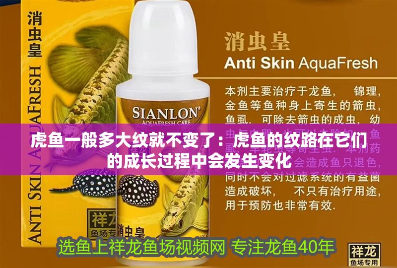 虎魚一般多大紋就不變了：虎魚的紋路在它們的成長過程中會發生變化