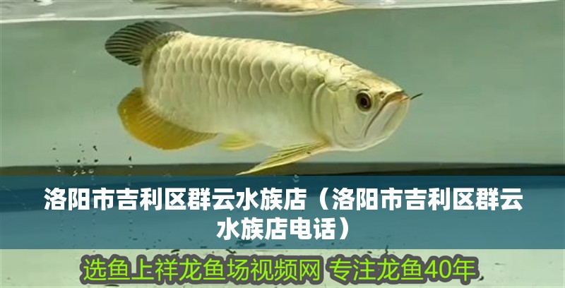 洛陽市吉利區群云水族店（洛陽市吉利區群云水族店電話） 洛陽市吉利區群云水族店（洛陽市吉利區群云水族店電話） 全國水族館企業名錄 第2張