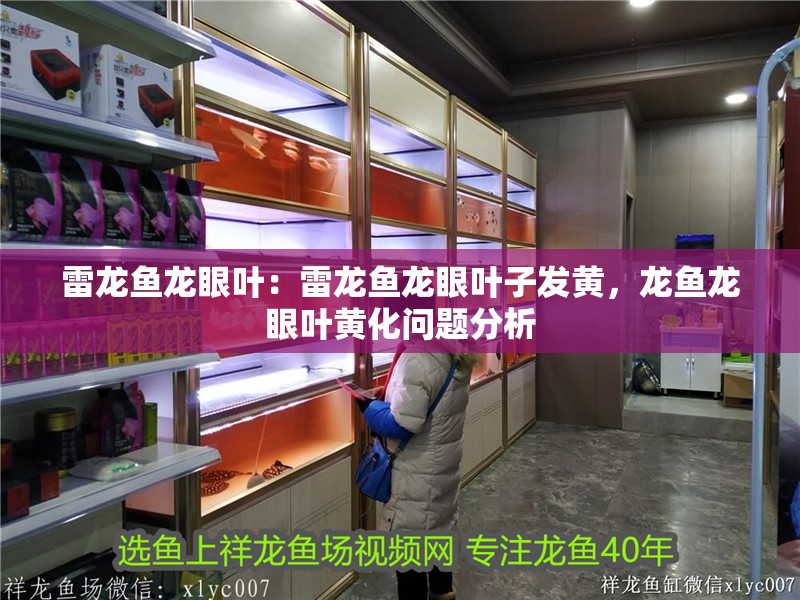 雷龍魚龍眼葉：雷龍魚龍眼葉子發(fā)黃，龍魚龍眼葉黃化問題分析