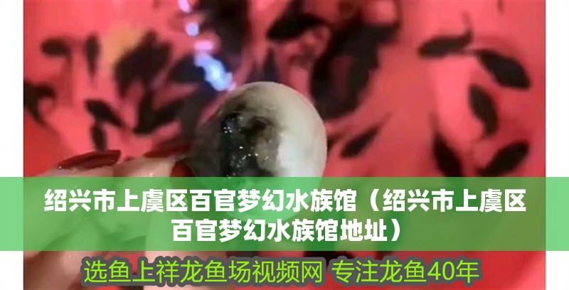 紹興市上虞區百官夢幻水族館（紹興市上虞區百官夢幻水族館地址）