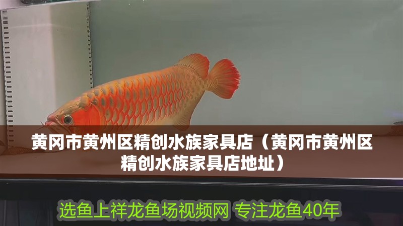 黃岡市黃州區精創水族家具店（黃岡市黃州區精創水族家具店地址）