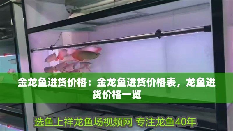 金龍魚進貨價格：金龍魚進貨價格表，龍魚進貨價格一覽