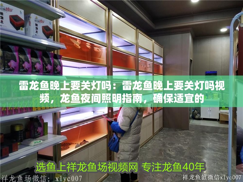 雷龍魚晚上要關燈嗎：雷龍魚晚上要關燈嗎視頻，龍魚夜間照明指南，確保適宜的