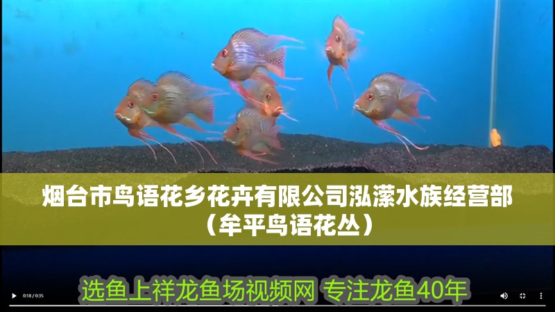 煙臺市鳥語花鄉花卉有限公司泓瀠水族經營部（牟平鳥語花叢）