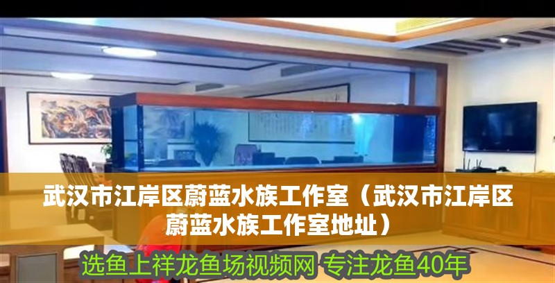 武漢市江岸區蔚藍水族工作室（武漢市江岸區蔚藍水族工作室地址）