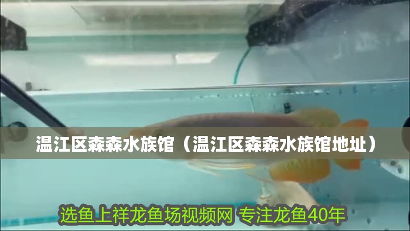 溫江區森森水族館（溫江區森森水族館地址）