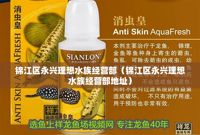 錦江區永興理想水族經營部（錦江區永興理想水族經營部地址）