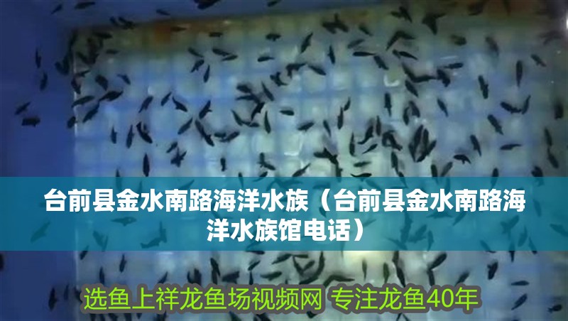 臺前縣金水南路海洋水族（臺前縣金水南路海洋水族館電話） 臺前縣金水南路海洋水族（臺前縣金水南路海洋水族館電話） 全國水族館企業名錄 第2張