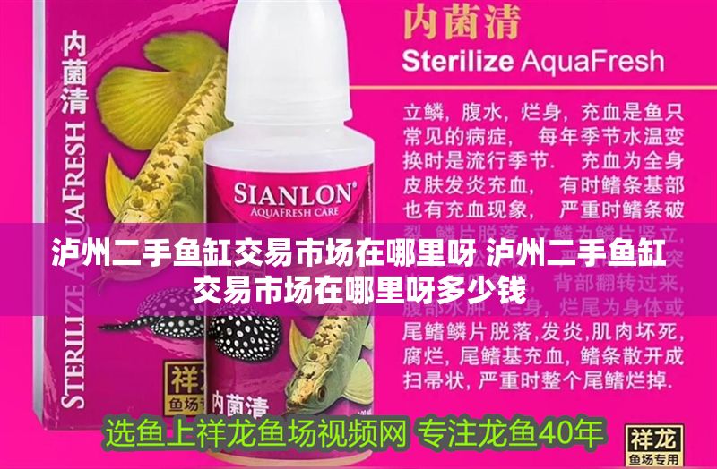 瀘州二手魚缸交易市場在哪里呀 瀘州二手魚缸交易市場在哪里呀多少錢