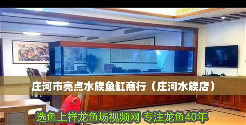 莊河市亮點水族魚缸商行（莊河水族店）