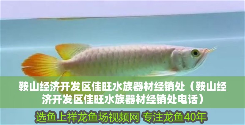 鞍山經濟開發區佳旺水族器材經銷處(鞍山經濟開發區佳旺水族器材經銷處電話) 全國水族館企業名錄 第2張 鞍山經濟開發區佳旺水族器材經銷處(鞍山經濟開發區佳旺水族器材經銷處電話) 鞍山經濟開發區佳旺水族器材經銷處(鞍山經濟開發區佳旺水族器材經銷處電話) 全國水族館企業名錄 第2張