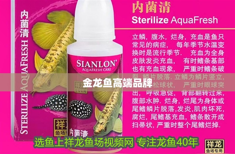 金龍魚(yú)高端品牌