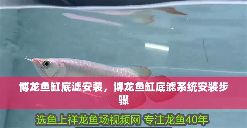 博龍魚缸底濾安裝，博龍魚缸底濾系統安裝步驟