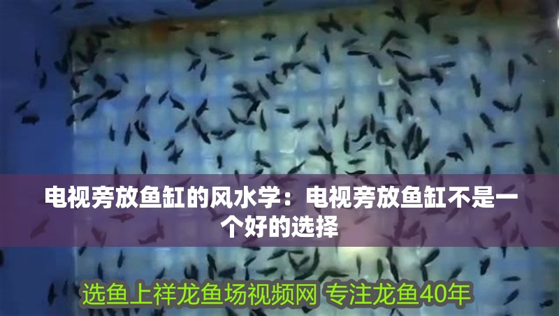 電視旁放魚缸的風水學：電視旁放魚缸不是一個好的選擇