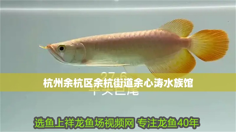 杭州余杭區(qū)余杭街道余心濤水族館