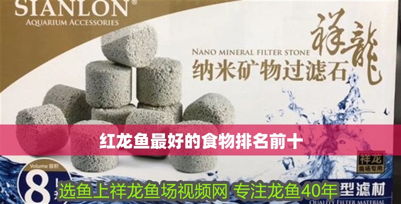 紅龍魚最好的食物排名前十