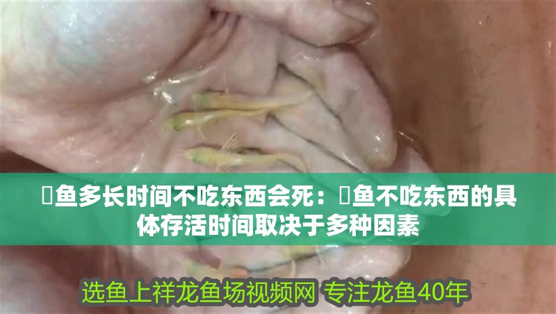 魟魚多長時間不吃東西會死：魟魚不吃東西的具體存活時間取決于多種因素