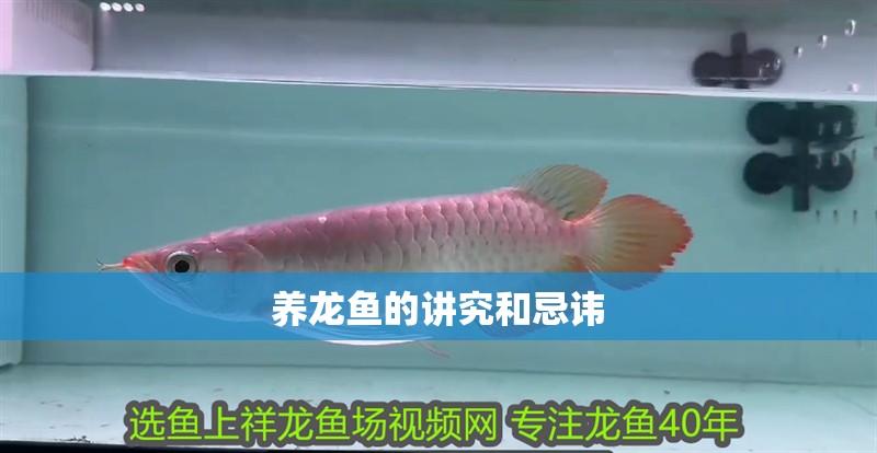 養龍魚的講究和忌諱 養龍魚的講究和忌諱 龍魚百科 第4張
