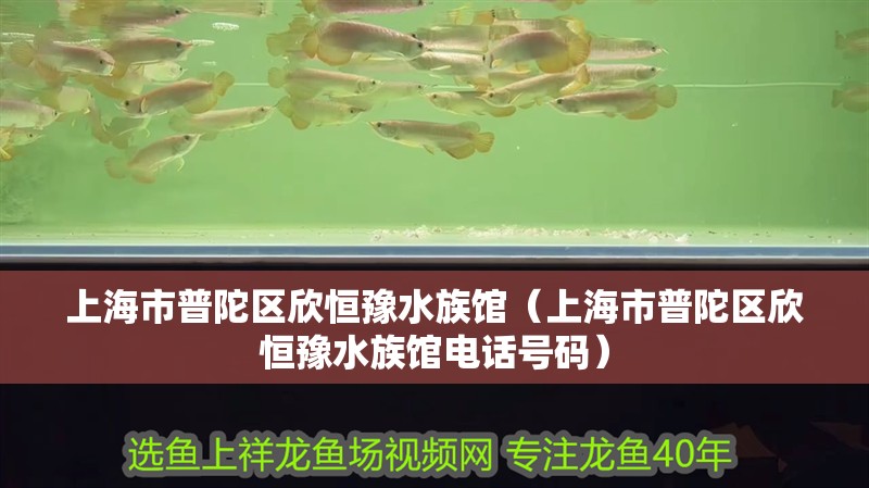 上海市普陀區欣恒豫水族館（上海市普陀區欣恒豫水族館電話號碼）
