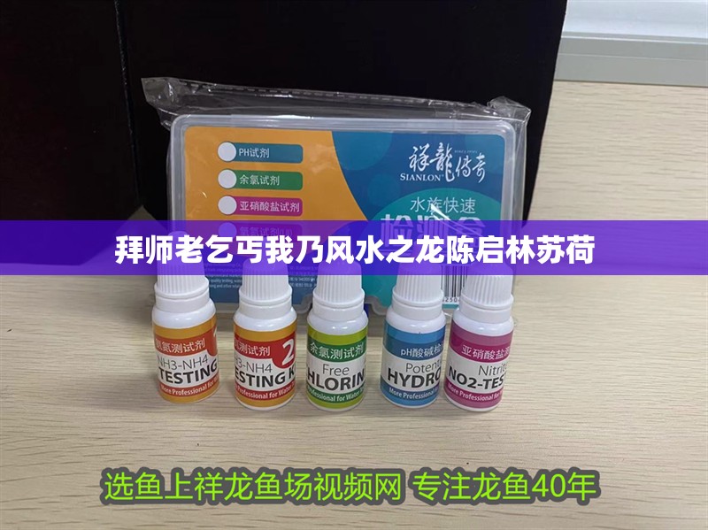 拜師老乞丐我乃風(fēng)水之龍陳啟林蘇荷