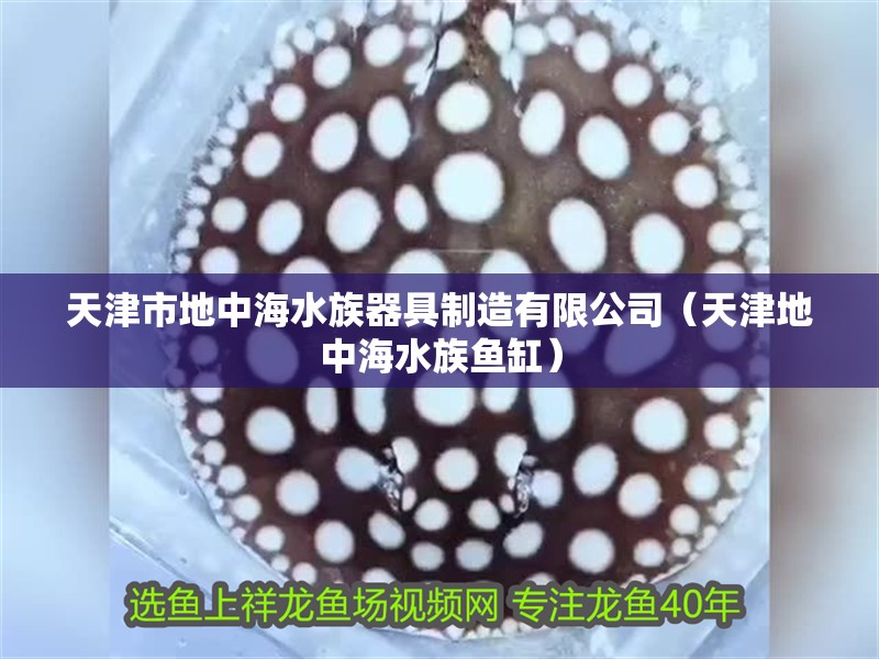 天津市地中海水族器具制造有限公司（天津地中海水族魚(yú)缸）