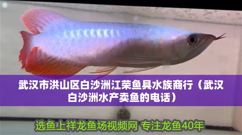 武漢市洪山區白沙洲江榮魚具水族商行（武漢白沙洲水產賣魚的電話） 武漢市洪山區白沙洲江榮魚具水族商行（武漢白沙洲水產賣魚的電話） 全國水族館企業名錄 第2張