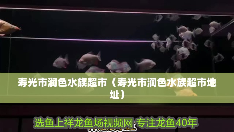 壽光市潤色水族超市（壽光市潤色水族超市地址） 壽光市潤色水族超市（壽光市潤色水族超市地址） 全國水族館企業名錄 第2張