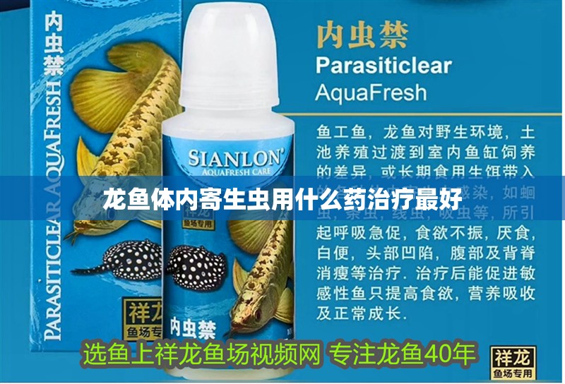 龍魚體內寄生蟲用什么藥治療最好