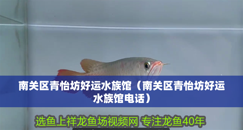 南關(guān)區(qū)青怡坊好運(yùn)水族館（南關(guān)區(qū)青怡坊好運(yùn)水族館電話）