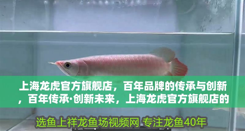 上海龍虎官方旗艦店，百年品牌的傳承與創新，百年傳承·創新未來，上海龍虎官方旗艦店的品牌故事