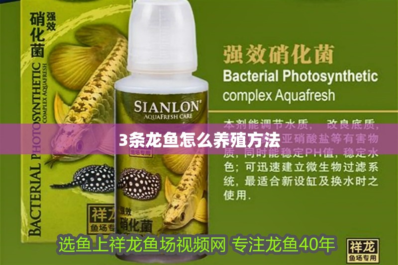 3條龍魚怎么養殖方法 龍魚百科 第4張 3條龍魚怎么養殖方法 3條龍魚怎么養殖方法 龍魚百科 第4張