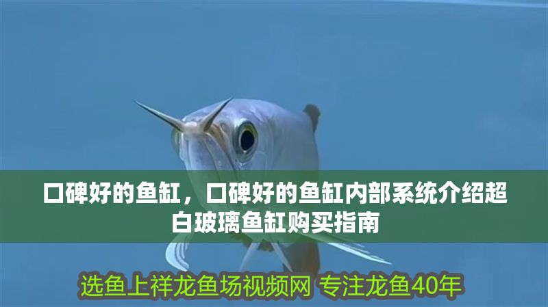 口碑好的魚缸，口碑好的魚缸內部系統介紹超白玻璃魚缸購買指南