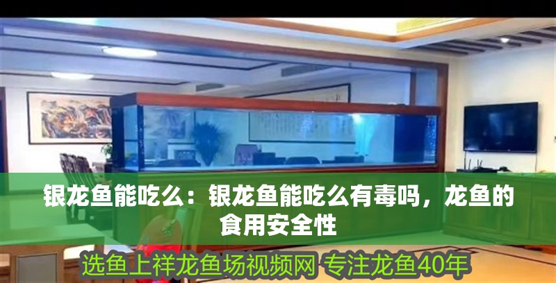 銀龍魚能吃么：銀龍魚能吃么有毒嗎，龍魚的食用安全性