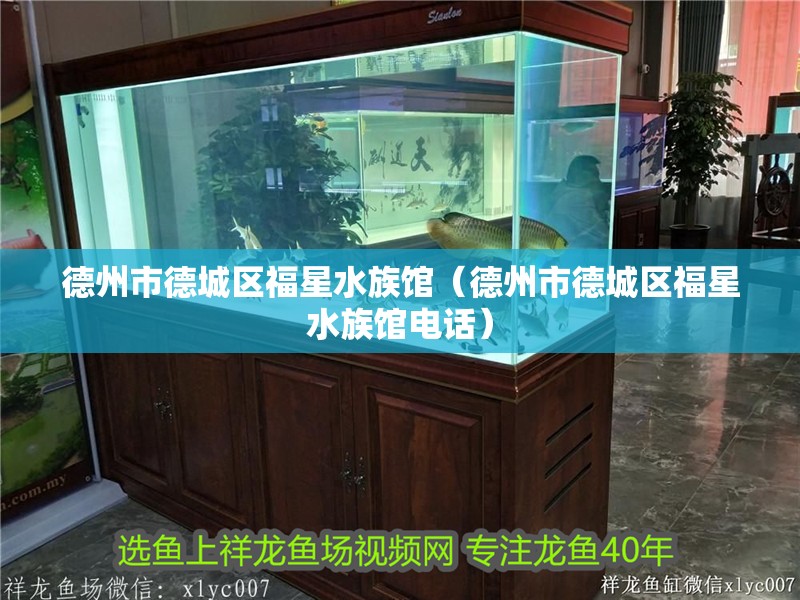 德州市德城區(qū)福星水族館（德州市德城區(qū)福星水族館電話）